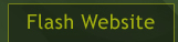 Flash Website